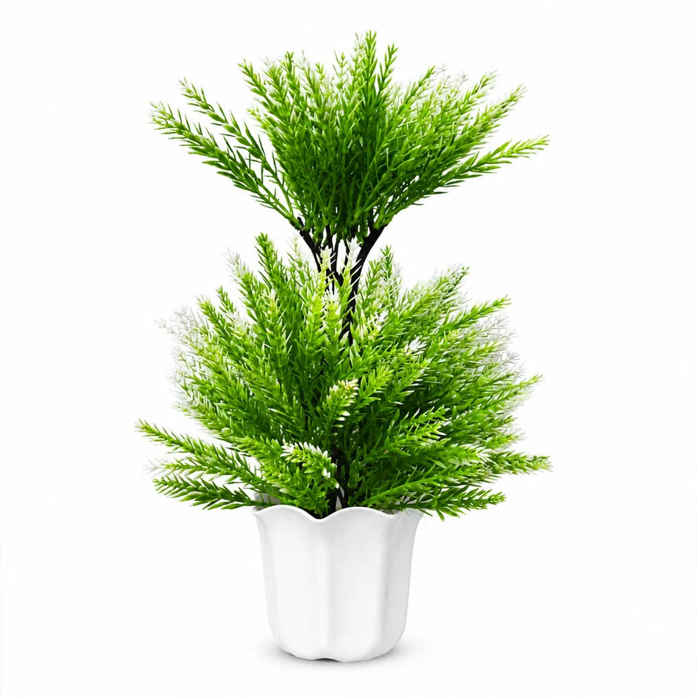 Artificial Cedar Plant in White Ceramic Pot – Luxury Home & Office Décor