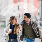 Transparent Dome Umbrella – Windproof with Comfortable Curved Handle
